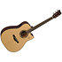 TAG3 C NT TransAcoustic Natural + Etui Yamaha