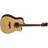 TAG3 C NT TransAcoustic Natural + Etui Yamaha
