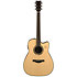 TAG3 C NT TransAcoustic Natural + Etui Yamaha