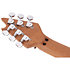 Wolfgang Special QM MPL Chlorine Burst EVH