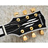 Edwards ELPCTM White ESP