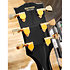Edwards ELPCTM Black Gaucher ESP