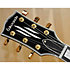 Edwards ELPCTM Black Gaucher ESP