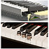 NCK-330 NUX Keys