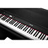NCK-330 NUX Keys