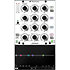 Hyperion Wes Audio